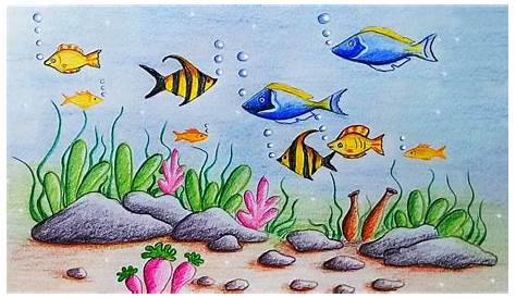 Marine Life Pictures For Drawing - Sea Drawing Life Animals Drawings