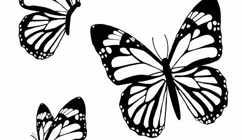 Mariposa monarca vista superior silueta - Descargar PNG/SVG transparente