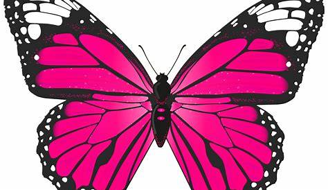e755de25.png (594×800) | Mariposas lindas, Dibujos de mariposas