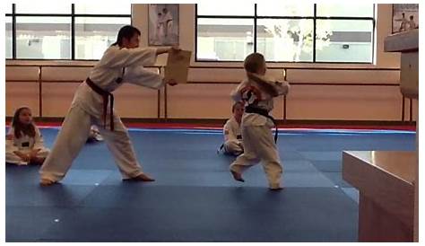 Grand Master Lee's Taekwondo School - Our Gallery