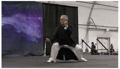 Grandmaster Liang Shou Yu Demonstration - YouTube