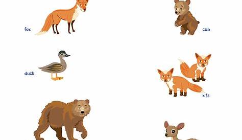 Printable Animal Matching Game
