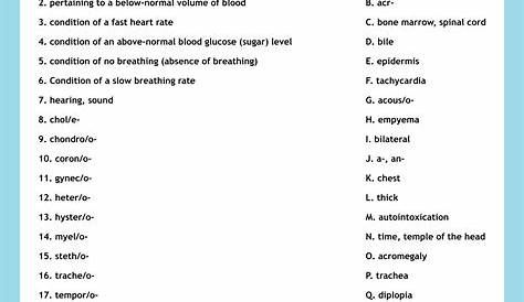 Medical Terminology Worksheets With Answers