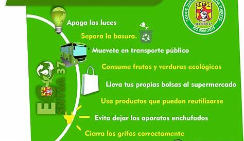 15 ecoacciones para cuidar el #medioambiente #masprevencion #prevencion
