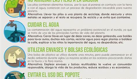 Infografía Tips De Cuidado Ambiental by luisa4253 - Issuu