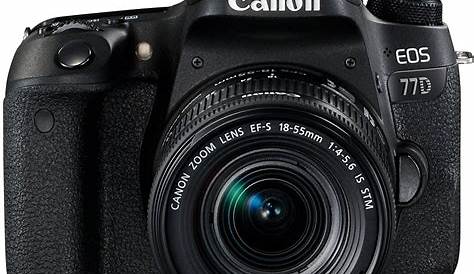Les 10 meilleurs appareils photo professionnels [guide 2022]