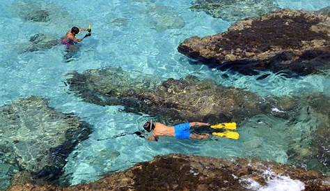 Los 7 mejores sitios para hacer snorkel