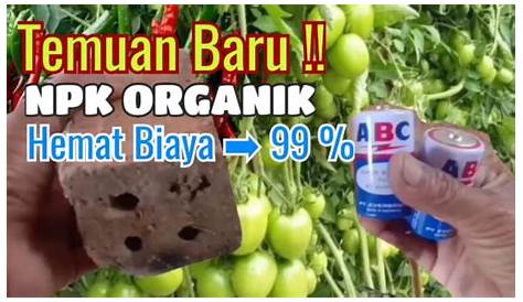 Cara sederhana Membuat PUPUK NPK Organik Cair di rumah sendiri - Mas