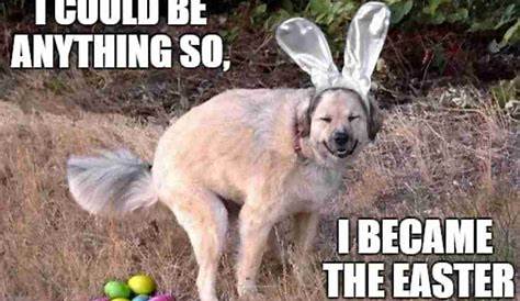 Funny Happy Easter Memes That'll Make You Laugh | Happy Easter