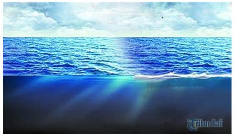 Alasan Air Laut Berwarna Biru | Pengetahuan Nira