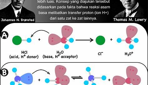 Chemistry Lovers: Mengenal Lebih Dekat Bapak Pencetus Teori Asam-Basa