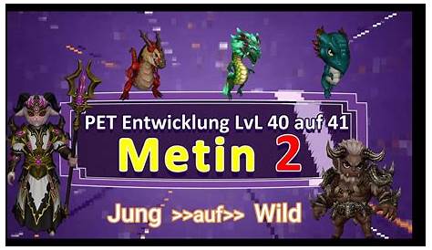Metin2 DE Praios: Pet-System Guide! - YouTube