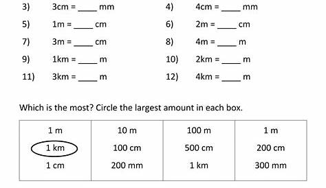Measurement Worksheet -- Metric Conversion of Centimeters and