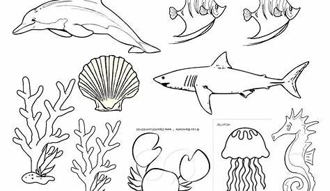 Binatang Lukisan Hidupan Laut Hitam Putih / Gambar Mewarnai Ikan Laut