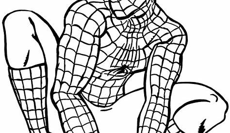 Mewarnai Gambar Kartun Spiderman Hitam Putih - Aneka Gambar Gambar
