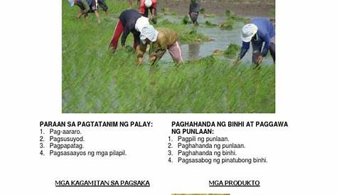 PhilMech, nagdaos ng pagsasanay ukol sa mga makinaryang pangsaka sa