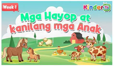 Mga Hayop Na Nakalaya Sa Loob Ng Mahabang Panahon! | Animals Being