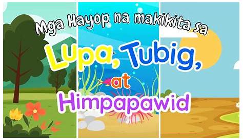 Ano Ang Mga Hayop Na Nakatira Sa Lupa At Tubig - plunge tubig