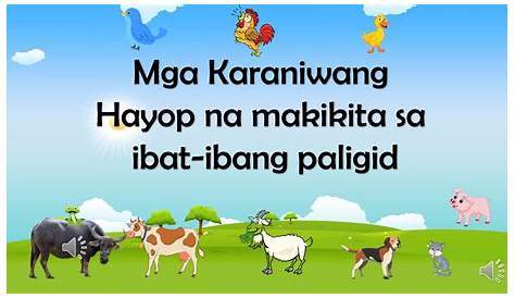 Kinder Q4 Week 1: Ang mga Hayop sa Paligid | MELCs based - YouTube