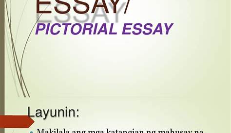 Pagsulat Sa Larawang Sanaysay Quarter 2 Module 7 Docsity X Sanysay