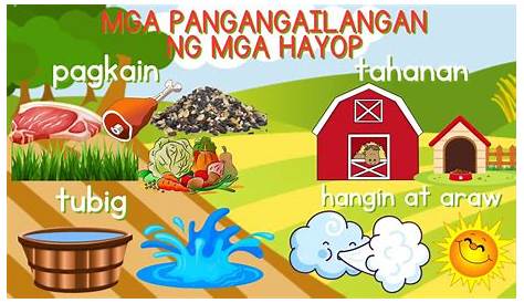 (PDF) Listahan ng mga Paalala sa Pag-iingat kapag may LindolMga