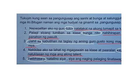 Magbigay Ng 5 Pangungusap Na May Sanhi At Bunga