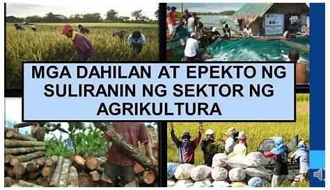 Suliranin sa Agrikultura sa Pilipinas