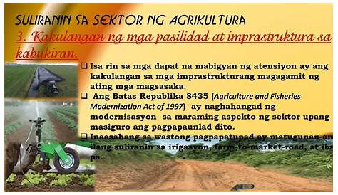 Kasaysayan At Pagunlad Ng Agrikultura Sa Pilipinas Youtube Estado - Vrogue