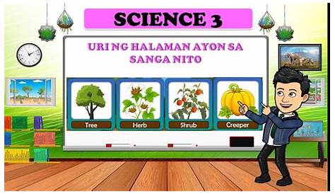Mga uri ng Halaman sa Pilipinas ( Grade 4 )