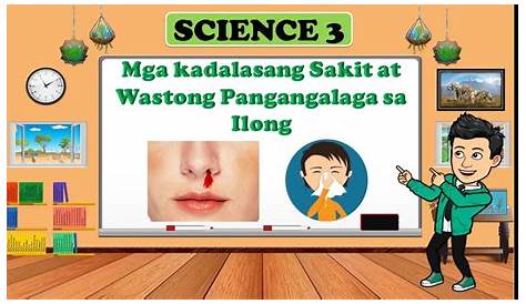 ILONG - Mga kadalasang Sakit at Wastong Pangangalaga sa ilong - SCIENCE