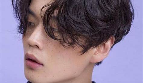 8 perm hairstyles for men in 2021 for singaporean guys who curly 