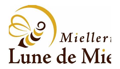 Miellerie Lune de Miel reveals all the secrets of honey