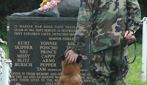Military Dog Memorial | Military dogs, Dog memorial, Bulldog