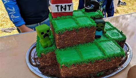 Minecraft Cake Ideas Easy