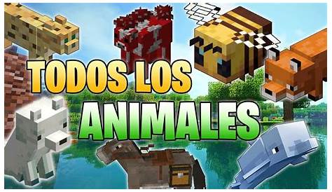 Animals That Should Be In Minecraft Minecraft Blog