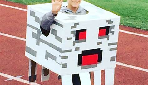 Cassie's Creative Crafts Minecraft Ghast Halloween Costume