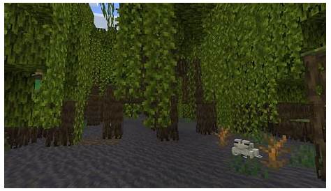 Minecraft Mangrove Forest Seed