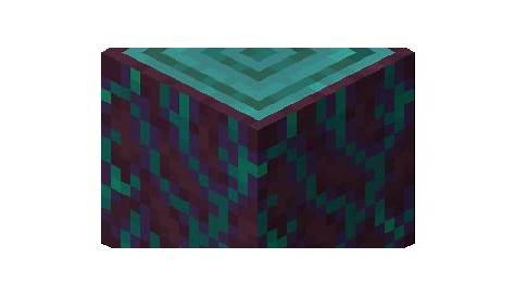 Minecraft 10 Things You Absolutely Need From The Nether (& How To Get