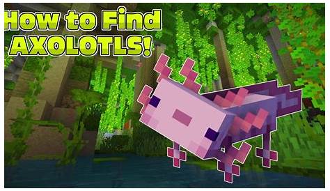 How To Find And Get An Axolotl In Minecraft 1.17 On All Platforms