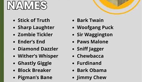 funny names for minecraft leggings