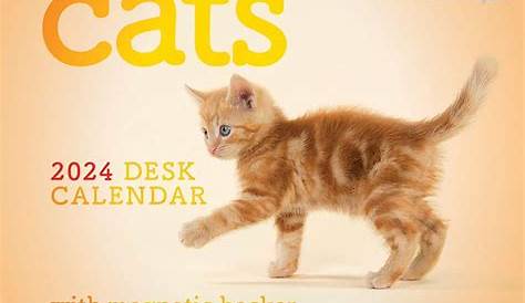 [PreOrder] Cats Mini Boxed Calendar 2024