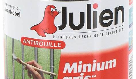 Minium Gris Julien 25l Antirouille Boîte 500 Ml De