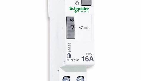 Minuterie Schneider 16655 SCHNEIDER Disjoncteur, Interrupteur Différentiel