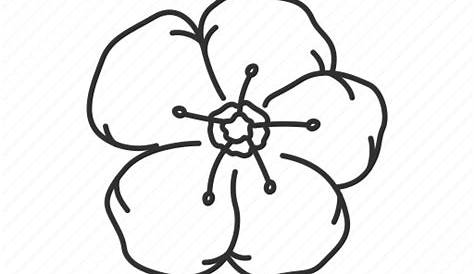 Missouri State Flower Drawing