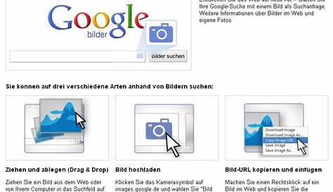 Umgekehrte Bildersuche: die Bildersuche rückwärts mit Google - IONOS