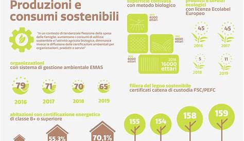 Goal 12 Consumo e produzione responsabili | ScuolAgenda2030 Piemonte