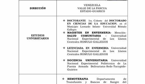Resumen Profesional Y Laboral Ejemplos Calameo Curriculum Vitae De