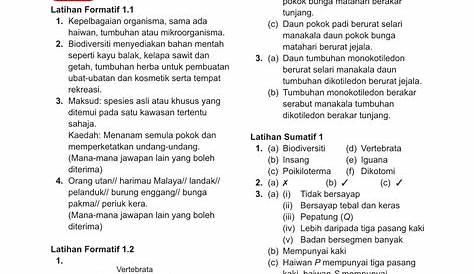 Skema Jawapan Modul Inovasi 3 Bm Tingkatan 5 - malaowesx