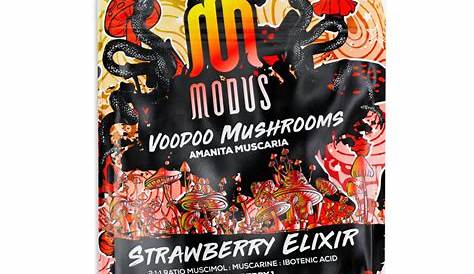 Modus Voodoo Mushrooms Gummies