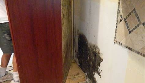 Mold Under Kitchen Cabinets How To Get Rid Of Behind Ideas